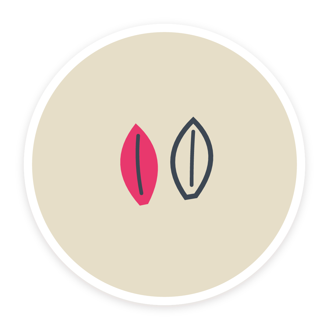 Sticker: Feuilles